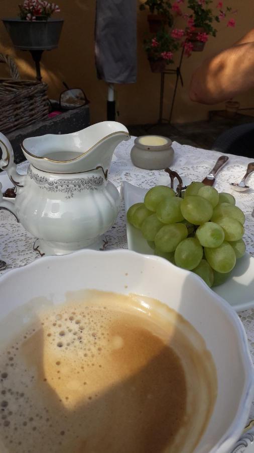 Les Terrasses Bed & Breakfast Degre Ngoại thất bức ảnh