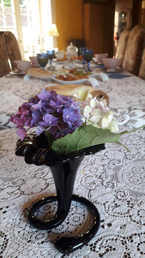 Les Terrasses Bed & Breakfast Degre Ngoại thất bức ảnh